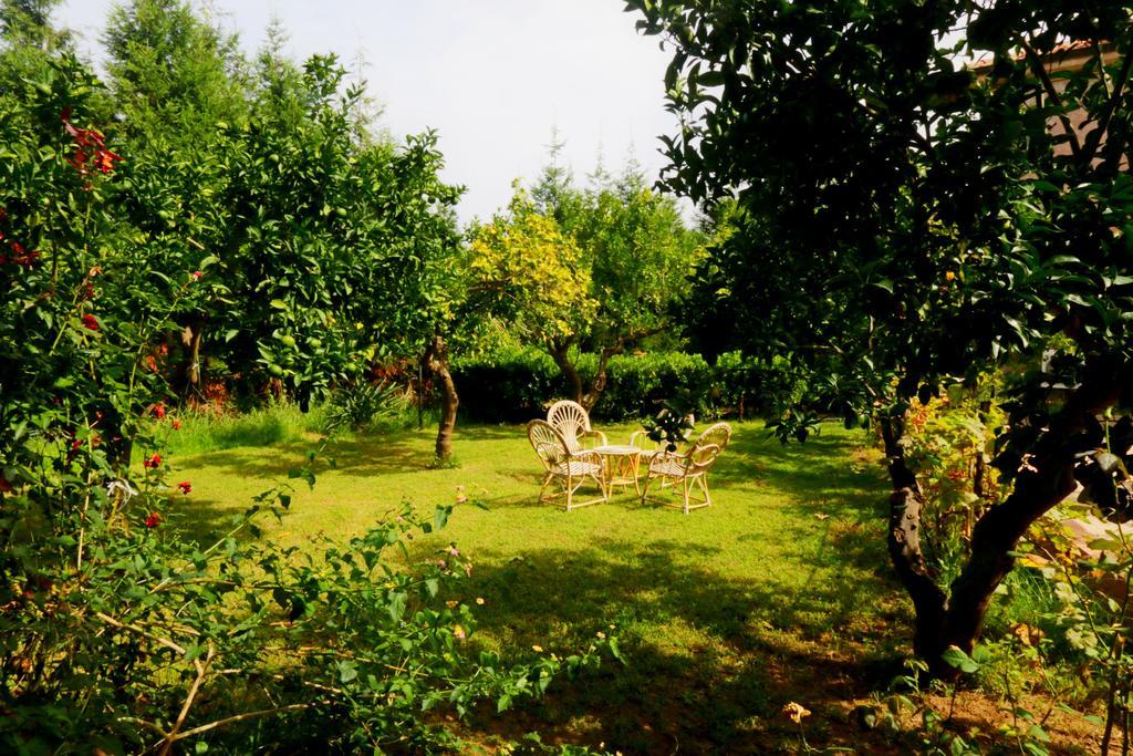 Residenza La Vigna Aparthotel Parghelia Luaran gambar